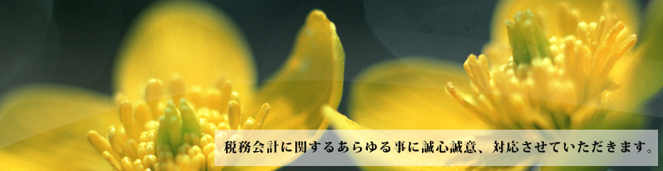 税務会計に関するあらゆる事に誠心誠意、対応させていただきます。